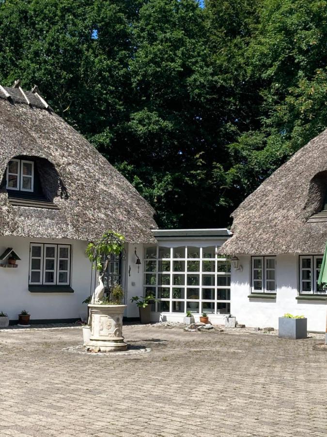 Skovlyset'S B&B Юельсминне Экстерьер фото