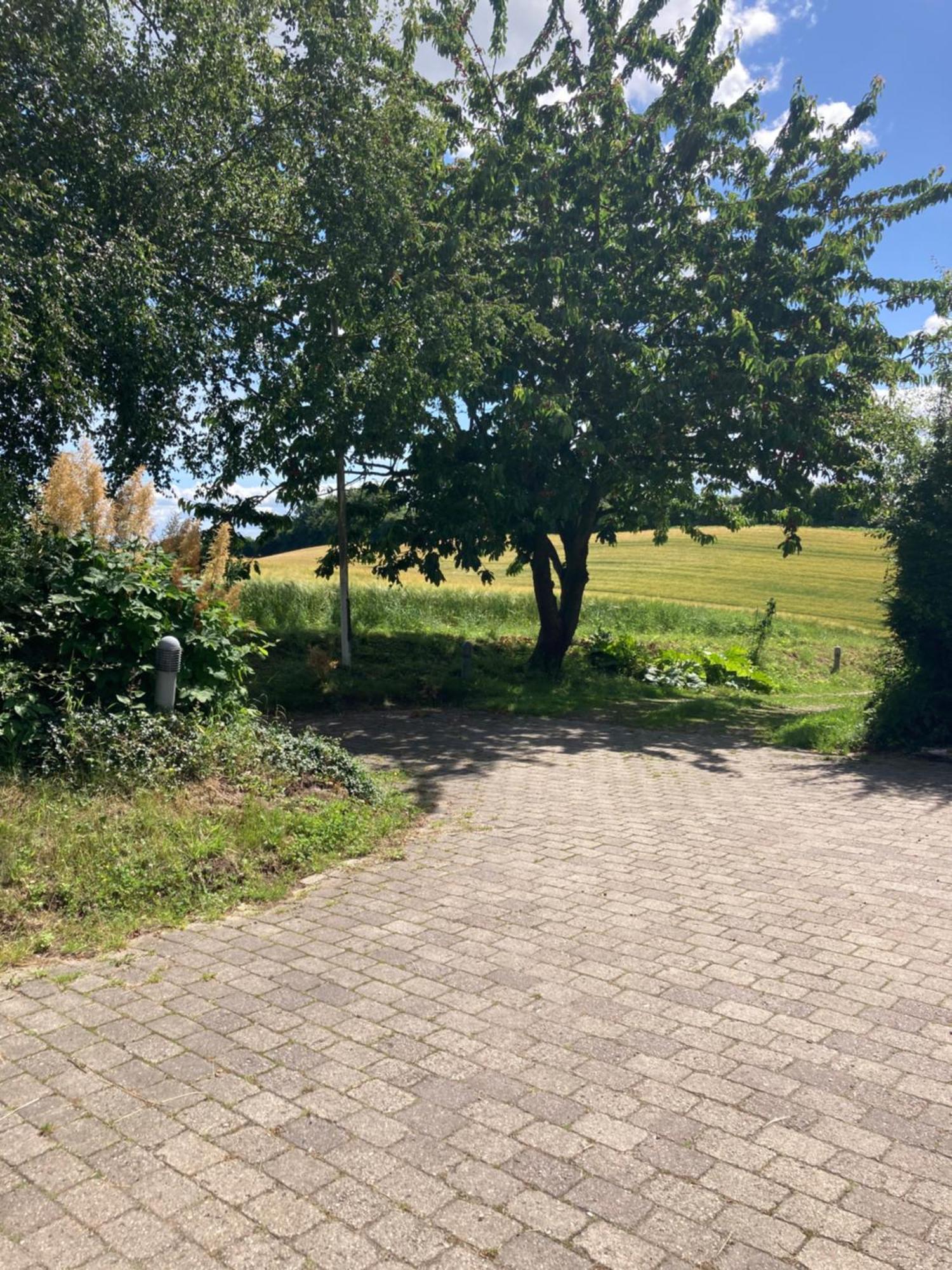 Skovlyset'S B&B Юельсминне Экстерьер фото